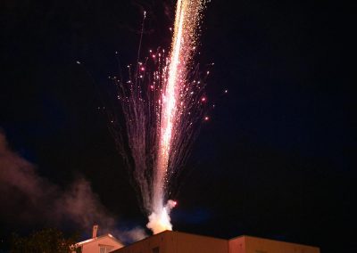 Der-10.-Geburtstag-des-Hauses.-Abbildung-22
